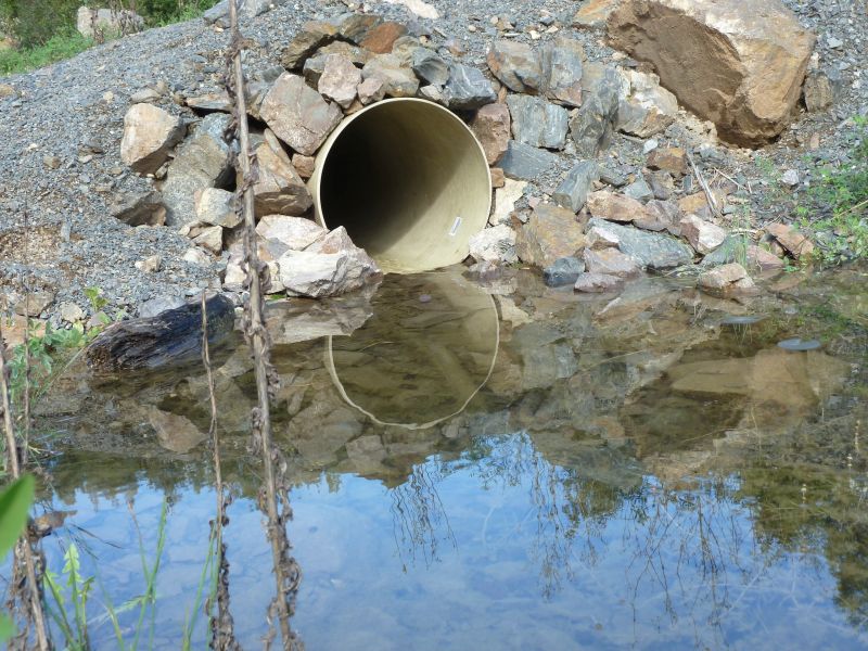 011 Beachcleanup Nentmannsdorf 2014 cTW